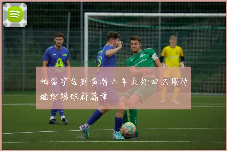 帕雷霍告别黄潜六年美好回忆期待继续踢球新篇章