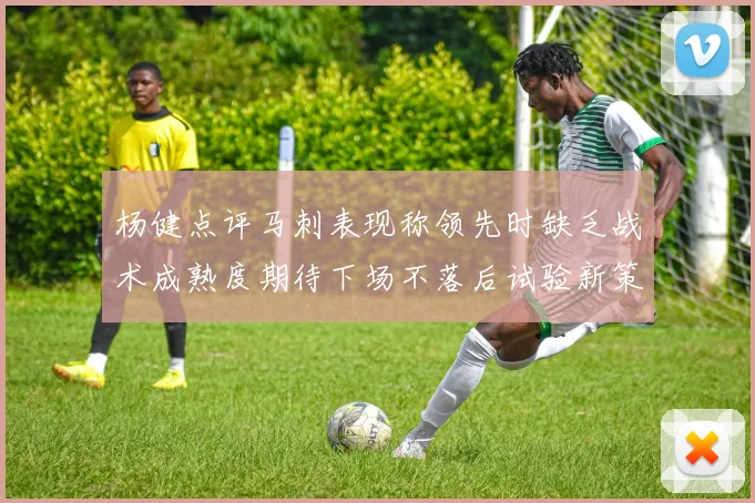 杨健点评马刺表现称领先时缺乏战术成熟度期待下场不落后试验新策略